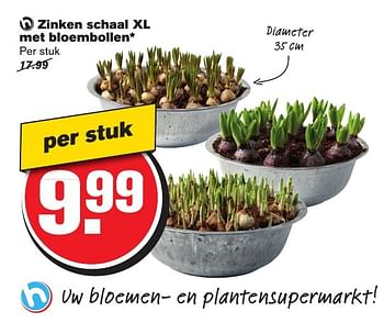 Aanbiedingen Zinken schaal xl met bloembollen - Huismerk - Hoogvliet - Geldig van 12/02/2017 tot 21/02/2017 bij Hoogvliet