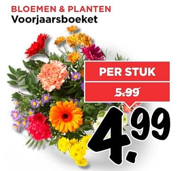 Aanbiedingen Bloemen + planten voorjaarsboeket - Huismerk Vomar - Geldig van 19/02/2017 tot 25/02/2017 bij Vomar