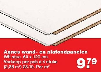 Aanbiedingen Agnes wand- en plafondpanelen - Huismerk - Praxis - Geldig van 20/02/2017 tot 26/02/2017 bij Praxis