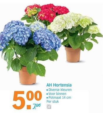Aanbiedingen Ah hortensia - Huismerk - Albert Heijn - Geldig van 20/02/2017 tot 26/02/2017 bij Albert Heijn
