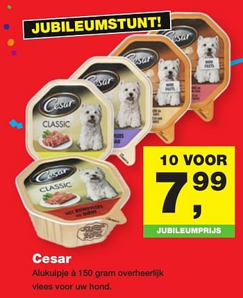 Aanbiedingen Cesar - Cesar - Geldig van 20/02/2017 tot 05/03/2017 bij Jumper