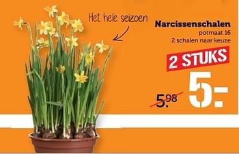 Aanbiedingen Narcissenschalen - Huismerk - Coop - Geldig van 27/02/2017 tot 05/03/2017 bij Coop