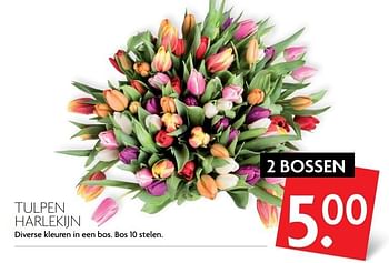 Aanbiedingen Tulpen harlekijn - Huismerk - Deka Markt - Geldig van 26/02/2017 tot 04/03/2017 bij Deka Markt