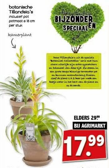 Aanbiedingen Botanische tillandsia`s - Huismerk - Agrimarkt - Geldig van 27/02/2017 tot 04/03/2017 bij Agrimarkt