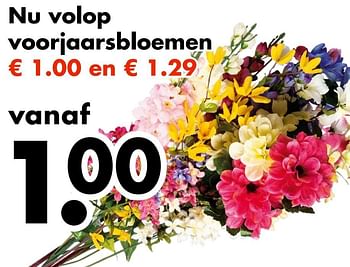 Aanbiedingen Nu volop voorjaarsbloemen - Huismerk - Wibra - Geldig van 06/03/2017 tot 18/03/2017 bij Wibra