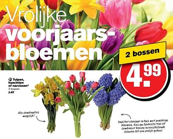 Aanbiedingen Tulpen, hyacinten of narcissen - Huismerk - Hoogvliet - Geldig van 01/03/2017 tot 07/03/2017 bij Hoogvliet