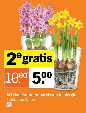 Aanbiedingen Ah hyacinten en narcissen in sierglas - Huismerk - Albert Heijn - Geldig van 06/03/2017 tot 12/03/2017 bij Albert Heijn