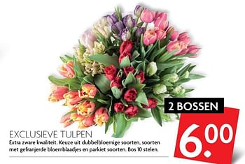 Aanbiedingen Exclusieve tulpen - Huismerk - Deka Markt - Geldig van 05/03/2017 tot 11/03/2017 bij Deka Markt