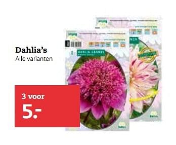 Aanbiedingen Dahlia`s - Huismerk- Boerenbond - Geldig van 06/03/2017 tot 19/03/2017 bij Boerenbond