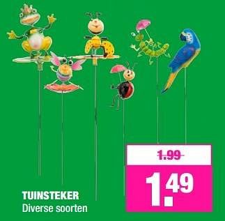 Aanbiedingen Tuinsteker - Huismerk - Big Bazar - Geldig van 06/03/2017 tot 13/03/2017 bij Big Bazar