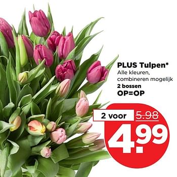 Aanbiedingen Plus tulpen - Huismerk - Plus - Geldig van 12/03/2017 tot 18/03/2017 bij Plus