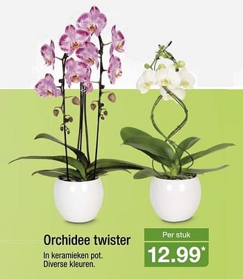 Aanbiedingen Orchidee twister - Huismerk - Aldi - Geldig van 13/03/2017 tot 18/03/2017 bij Aldi