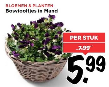 Aanbiedingen Bloemen + planten bosviooltjes in mand - Huismerk Vomar - Geldig van 12/03/2017 tot 18/03/2017 bij Vomar
