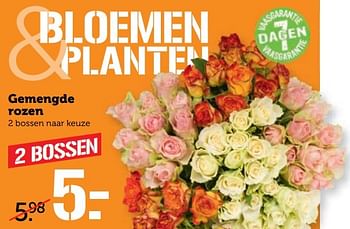 Aanbiedingen Gemengde rozen - Huismerk - Coop - Geldig van 13/03/2017 tot 19/03/2017 bij Coop
