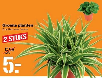 Aanbiedingen Groene planten - Huismerk - Coop - Geldig van 13/03/2017 tot 19/03/2017 bij Coop