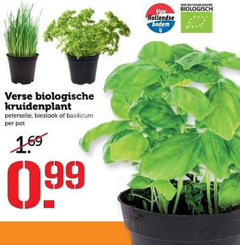 Aanbiedingen Verse biologische kruidenplant - Huismerk - Coop - Geldig van 13/03/2017 tot 19/03/2017 bij Coop