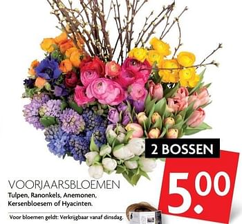 Aanbiedingen Voorjaarsbloemen - Huismerk - Deka Markt - Geldig van 12/03/2017 tot 18/03/2017 bij Deka Markt