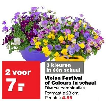 Aanbiedingen Violen festival of colours in schaal - Huismerk - Praxis - Geldig van 13/03/2017 tot 19/03/2017 bij Praxis