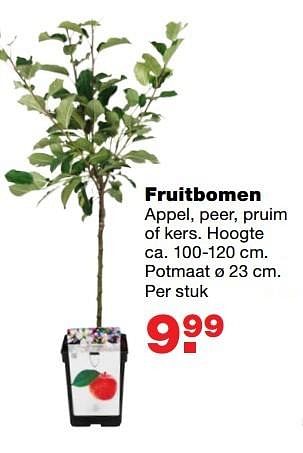 Aanbiedingen Fruitbomen - Huismerk - Praxis - Geldig van 13/03/2017 tot 19/03/2017 bij Praxis