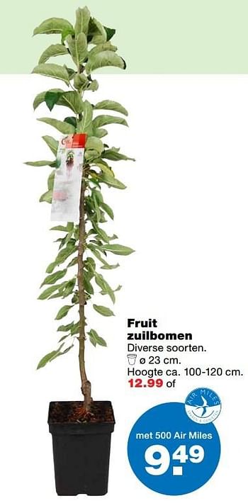 Aanbiedingen Fruit zuilbomen - Huismerk - Praxis - Geldig van 13/03/2017 tot 19/03/2017 bij Praxis