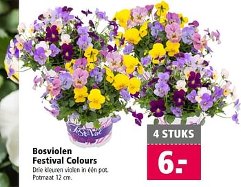 Aanbiedingen Bosviolen festival colours - Huismerk - Welkoop - Geldig van 13/03/2017 tot 26/03/2017 bij Welkoop
