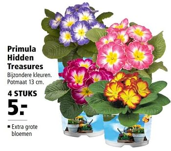 Aanbiedingen Primula hidden treasures - Huismerk - Welkoop - Geldig van 13/03/2017 tot 26/03/2017 bij Welkoop