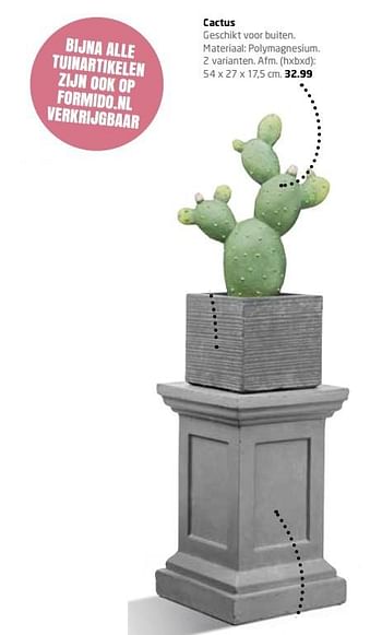 Aanbiedingen Cactus - Huismerk - Formido - Geldig van 06/03/2017 tot 09/07/2017 bij Formido