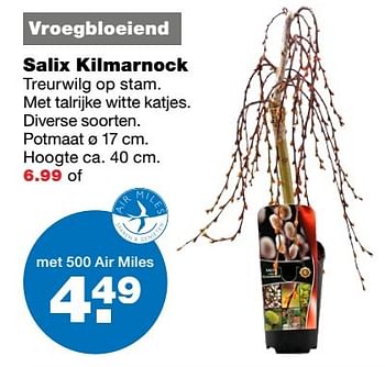 Aanbiedingen Salix kilmarnock - Huismerk - Praxis - Geldig van 27/03/2017 tot 02/04/2017 bij Praxis