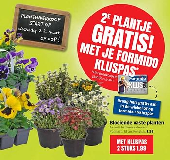 Aanbiedingen Bloeiende vaste planten - Huismerk - Formido - Geldig van 20/03/2017 tot 26/03/2017 bij Formido