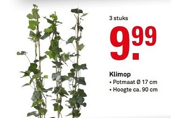 Aanbiedingen Klimop - Huismerk Karwei - Geldig van 20/03/2017 tot 26/03/2017 bij Karwei