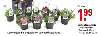 Aanbiedingen Vaste plantenmix - Huismerk Karwei - Geldig van 20/03/2017 tot 26/03/2017 bij Karwei