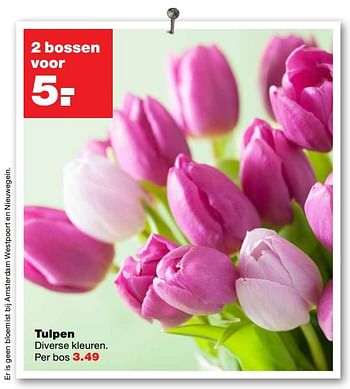Aanbiedingen Tulpen - Huismerk - Praxis - Geldig van 20/03/2017 tot 26/03/2017 bij Praxis