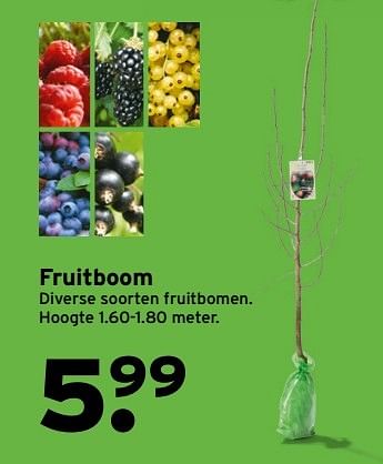 Aanbiedingen Fruitboom diverse soorten fruitbomen - Huismerk - Gamma - Geldig van 20/03/2017 tot 26/03/2017 bij Gamma