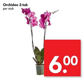 Aanbiedingen Orchidee 2-tak - Huismerk deen supermarkt - Geldig van 26/03/2017 tot 01/04/2017 bij Deen Supermarkten