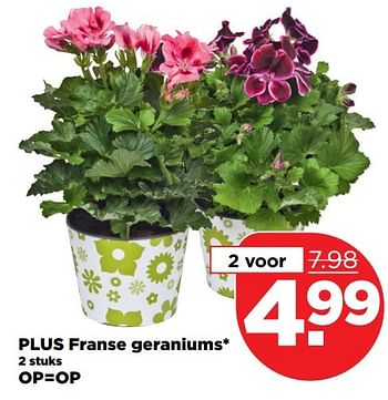 Aanbiedingen Plus franse geraniums - Huismerk - Plus - Geldig van 26/03/2017 tot 01/04/2017 bij Plus