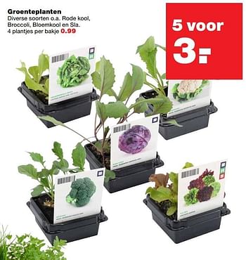 Aanbiedingen Groenteplanten - Huismerk - Praxis - Geldig van 27/03/2017 tot 02/04/2017 bij Praxis