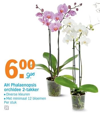 Aanbiedingen Ah phalaenopsis orchidee - Huismerk - Albert Heijn - Geldig van 27/03/2017 tot 02/04/2017 bij Albert Heijn