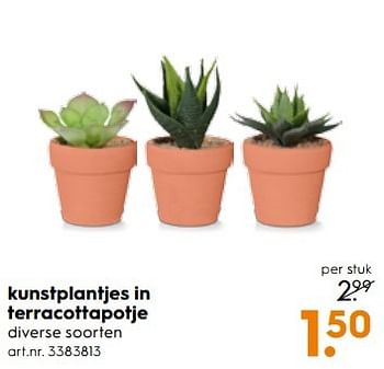 Aanbiedingen Kunstplantjes in terracottapotje - Huismerk - Blokker - Geldig van 25/03/2017 tot 05/04/2017 bij Blokker