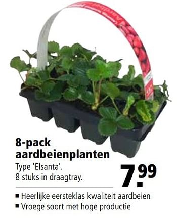 Aanbiedingen 8-pack aardbeienplanten - Huismerk - Welkoop - Geldig van 27/03/2017 tot 09/04/2017 bij Welkoop