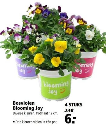 Aanbiedingen Bosviolen blooming joy - Huismerk - Welkoop - Geldig van 27/03/2017 tot 09/04/2017 bij Welkoop