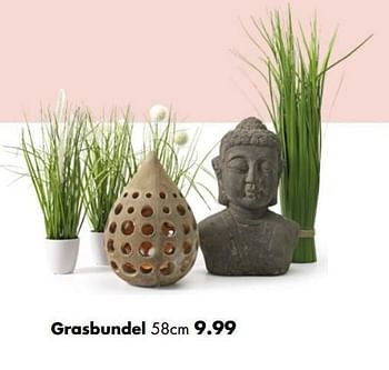Aanbiedingen Grasbundel - Huismerk - Multi Bazar - Geldig van 02/04/2017 tot 30/04/2017 bij Multi Bazar