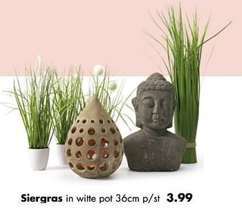Aanbiedingen Siergras in witte pot - Huismerk - Multi Bazar - Geldig van 02/04/2017 tot 30/04/2017 bij Multi Bazar