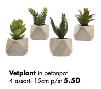 Aanbiedingen Vetplant in betonpot - Huismerk - Multi Bazar - Geldig van 02/04/2017 tot 30/04/2017 bij Multi Bazar