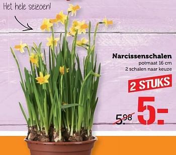 Aanbiedingen Narcissenschalen - Huismerk - Coop - Geldig van 03/04/2017 tot 09/04/2017 bij Coop