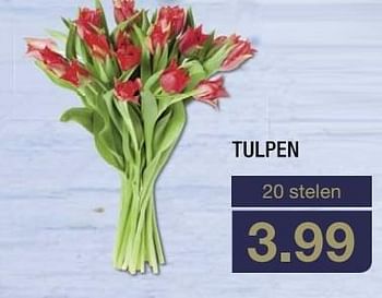 Aanbiedingen Tulpen - Huismerk - Aldi - Geldig van 21/03/2017 tot 17/04/2017 bij Aldi