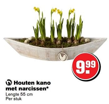 Aanbiedingen Houten kano met narcissen - Huismerk - Hoogvliet - Geldig van 29/03/2017 tot 17/04/2017 bij Hoogvliet