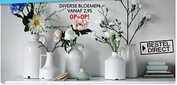 Aanbiedingen Diverse bloemen - Huismerk - Profijt Meubelen - Geldig van 31/03/2017 tot 07/04/2017 bij Profijt Meubel