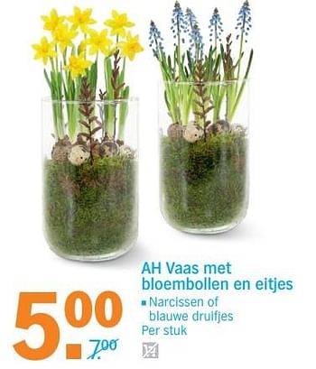 Aanbiedingen Ah vaas met bloembollen en eitjes - Huismerk - Albert Heijn - Geldig van 03/04/2017 tot 09/04/2017 bij Albert Heijn