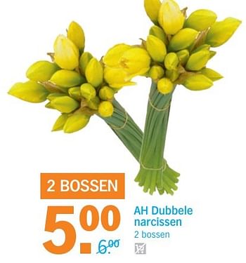Aanbiedingen Ah dubbele narcissen - Huismerk - Albert Heijn - Geldig van 03/04/2017 tot 09/04/2017 bij Albert Heijn