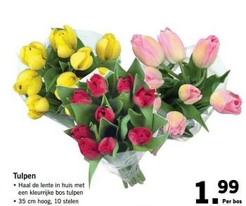 Aanbiedingen Tulpen - Huismerk - Lidl - Geldig van 03/04/2017 tot 08/04/2017 bij Lidl